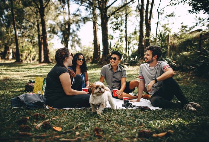 Chụp ảnh picnic nhóm giúp tăng sự kết nối giữa các thành viên