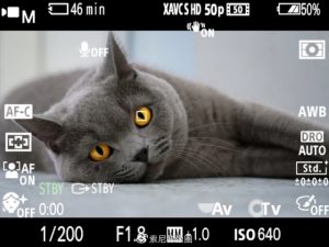 Sony ZV-E10 được bổ sung tính năng AF theo mắt động vật ở chế độ quay video