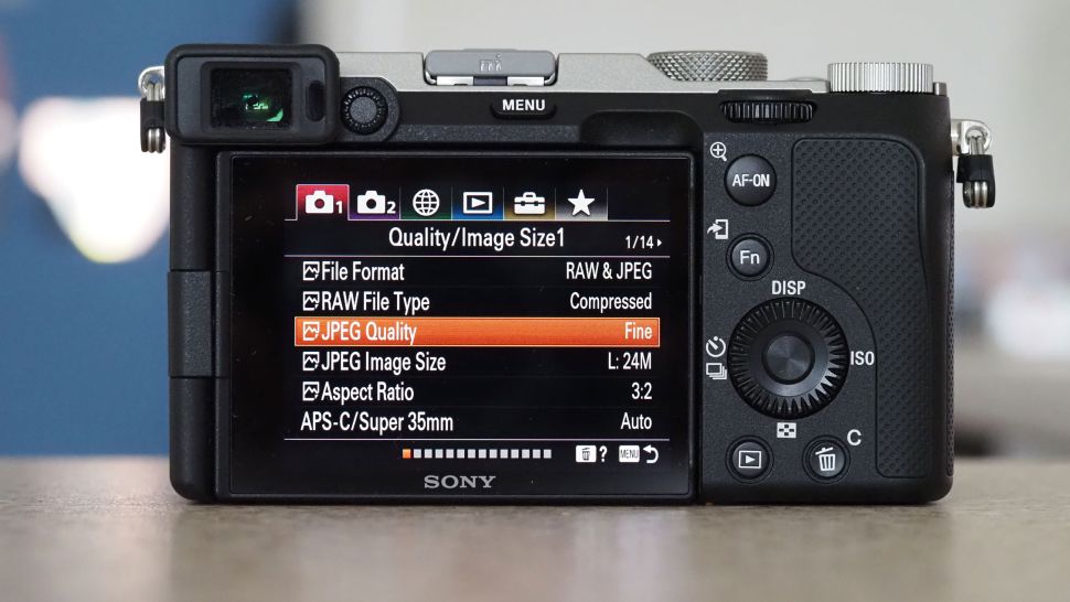 Sony A7C có thể tạo ra chất lượng hình ảnh và video ấn tượng