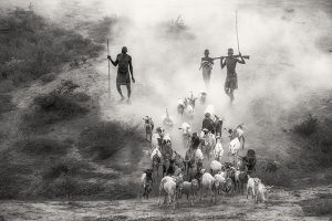 Thổ dân tại Ethiopia đang chăn thả đàn gia súc của họ