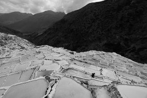 Bức ảnh những giếng muối khổng lồ tại Peru của An Li - Pictures of the Year 2022