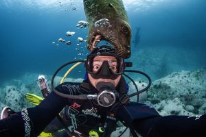 Nhiếp ảnh gia Dmitry Kokh vui đùa với sư tử biển