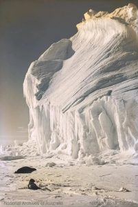 Những bức ảnh Nam Cực 100 năm trước - Hai con hải cẩu gần vách đá ở Nam Cực