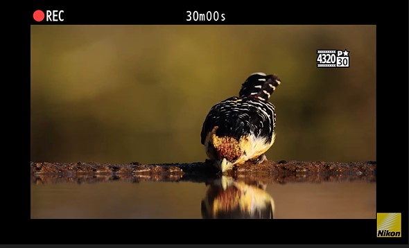 Khả năng quay video của Nikon Z9